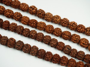 Seminte de rudraksha maro -4 buc, cca10 mm, gaura 1 mm