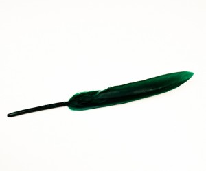 Pene naturale verde smarald 15 cm, 10 buc